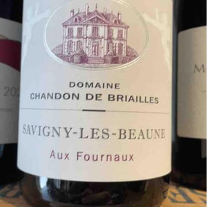 Savigny-les-Beaune 1er Cru "Aux Fournaux" - Domaine Chandon de Briailles - Claude & François de Nicolay 