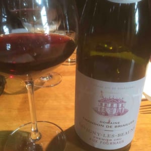 Savigny-les-Beaune 1er Cru "Aux Fournaux" - Domaine Chandon de Briailles - Claude & François de Nicolay 