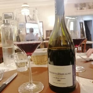 Savigny Lès Beaune Les Bas Liards - Uliz - Antoine Petitprez -2018