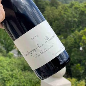 Savigny-les-Beaune "Les Gollardes" - Domaine de Chassorney - frederic-cossard