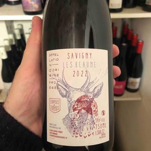 Savigny les beaunes - Chapuis & Chapuis - Romain & Jean-Guillaume Chapuis -2019