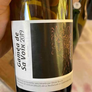 Gamea De Savoie - Le Nez de Goth - Olivier Boulin -2019