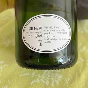 SB16/20 - Pierre Beauger - pierre-beauger