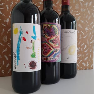 Sbaraglio - Azienda Agricola Carussin - bruna-ferro