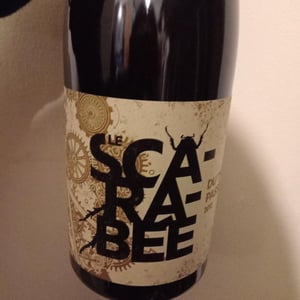 Scarabée du temps passé - Domaine Christian Binner - Christian Binner et son équipe -2013