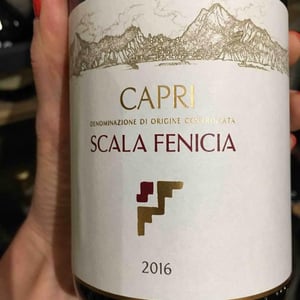 Scala Fenicia - Scala Fenicia - andrea-koch
