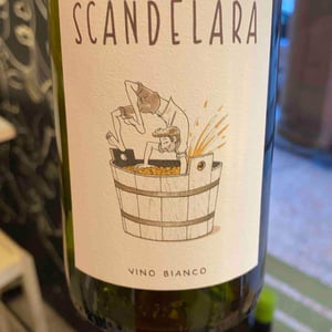 Scandela 2019 - Scandelara - Azienda Agricola Castel Arienti - Mattia Donini