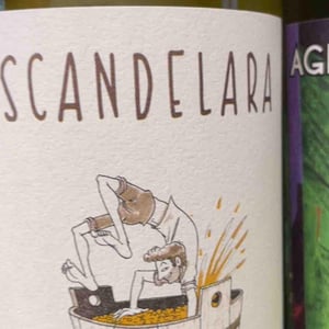 Scandelara Bianco - Scandelara - Azienda Agricola Castel Arienti - mattia-donini-4l