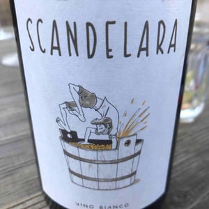 Scandelara Bianco - Scandelara - Azienda Agricola Castel Arienti - mattia-donini-4l