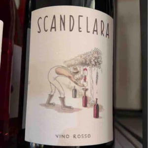 Scandelara Rosso - Scandelara - Azienda Agricola Castel Arienti - mattia-donini-4l