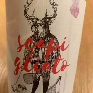 Scapigliato 2018