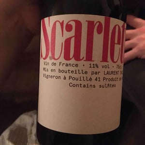 Scarlette - Laurent Saillard - Laurent Saillard 