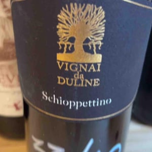 Schioppettino - Vignai da Duline - Lorenzo Mocchiutti & Federica Magrini 