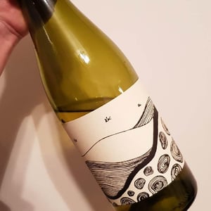 Schist - Gentle Folk Wines - gareth-rainbo-belton