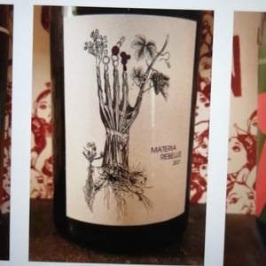 Schiste - Soil Therapy - Les Vins du Mardi - Thomas Larmoyer 