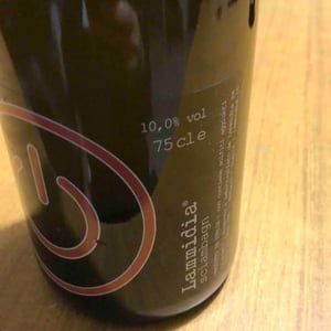 Sciambagn - Lammidia - Marco Giuliani & Davide Gentile 