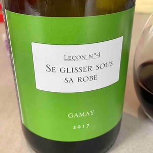 Se Glisser Sous Sa Robe (leçon Nº4) - Antoine Lienhardt - Antoine Lienhardt 