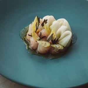 Seabass - Kohlrabi - Restaurant Renilde - 573796