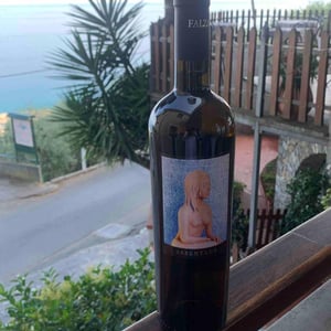 Assentada - Azienda Vinicola Falzari - Sergio Falzari -2019