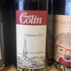 Sec 2021 - Domaine Colin - Pierre François Colin & Patrice Colin -2021