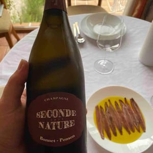 Champagne Bonnet-Ponson - Cyril Bonnet - Seconde Nature