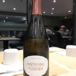 Champagne Bonnet-Ponson - Cyril Bonnet - Seconde Nature