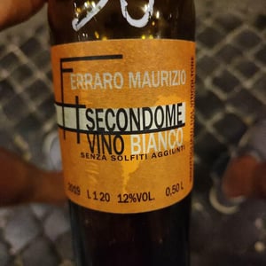 Secondome Bianco 198 - Maurizio Ferraro - Maurizio Ferraro 