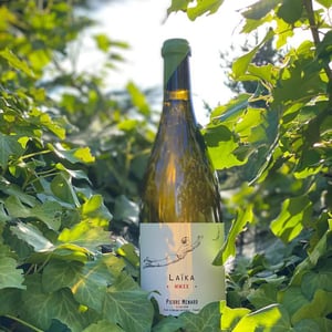 Laïka - Domaine Pierre Ménard - Pierre Ménard 