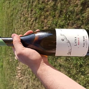 Domaine Pierre Ménard - Pierre Ménard - Laïka