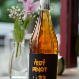 Sedy Pinot - Martin Vajčner - Martin Vajčner -2021