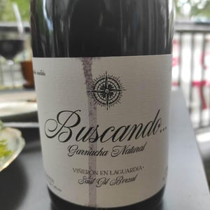 Buscando 2019 2019 2019 - Saul Gil Berzal - José Luis Gil