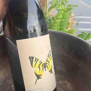 Segelfalter - Gelber Muskateller - Weingut Andreas & Elisabeth Tscheppe - Andreas & Elisabeth Tscheppe 