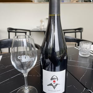 Seguret - Domaine Jean David - jean-luc-auffret-martine-jean-david