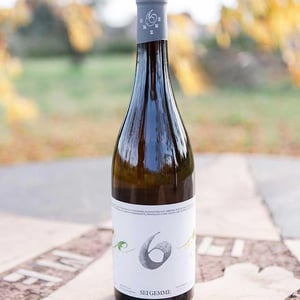 Sei Gemme - Cantina del Tufaio - Sei Gemme - nicoletta-loreti