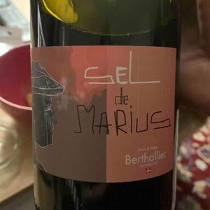 Sel de Marius - Berthollier Vignerons - denis-didier-berthollier