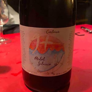 Mèdol Selecció Cartoixà Vermell - Celler 9+ - Moises Virgili i Rovira 
