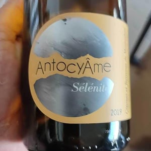 Sélénite - AntocyÂme - muriel-zoldan