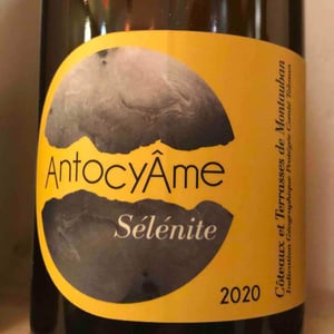 Sélénite - AntocyÂme - muriel-zoldan
