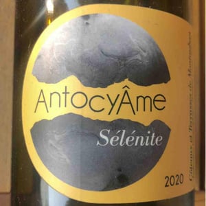 Sélénite - AntocyÂme - Muriel Zoldan 