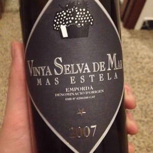 Vinya Selva de Mar - Mas Estella - Núria Dalmau & Diego Soto 