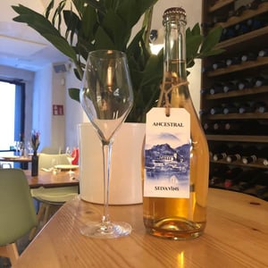 Ancestral - Selva Vins - carlos-rodriguez-furthmann -2021
