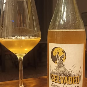 Selvadeg Bianco - Vitivinicola Fangareggi - matteo-fangareggi