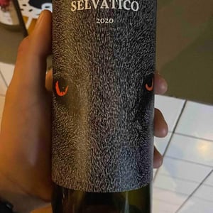 Selvatico - Società agricola Delle Selve - Alberto Volanti 
