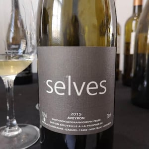 Selves - Nicolas Carmarans - nicolas-carmarans