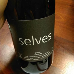 Selves - Nicolas Carmarans - Nicolas Carmarans 
