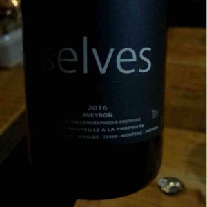 Selves - Nicolas Carmarans - Nicolas Carmarans 