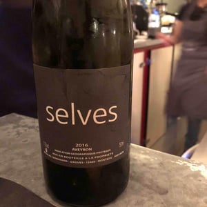 Selves - Nicolas Carmarans - Nicolas Carmarans 