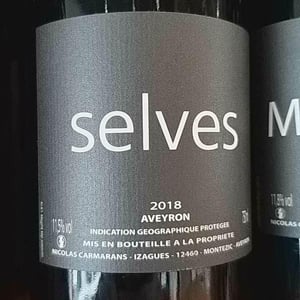 Selves - Nicolas Carmarans - nicolas-carmarans