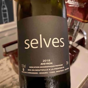 Selves - Nicolas Carmarans - nicolas-carmarans