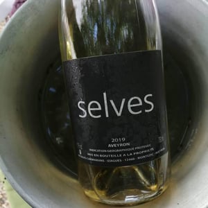 Selves - Nicolas Carmarans - nicolas-carmarans